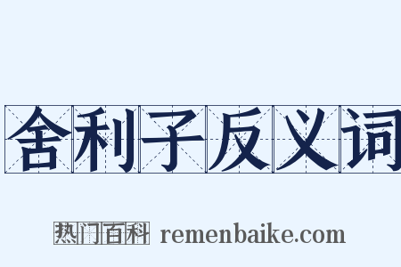 舍利子反义词是什么意思的图片